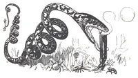 An illustration from Albert Robida - Voyages très extraordinaires de Saturnin Farandoul, 1879 page 174 (1879)