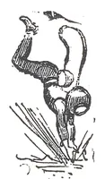 An illustration from Albert Robida - Voyages très extraordinaires de Saturnin Farandoul, 1879 page 294-1 (1879)