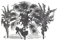 An illustration from Albert Robida - Voyages très extraordinaires de Saturnin Farandoul, 1879 page 370 (1879)