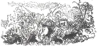 An illustration from Albert Robida - Voyages très extraordinaires de Saturnin Farandoul, 1879 page 418 (1879)