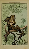 An illustration from Farandoul et sa nourrice (1879)