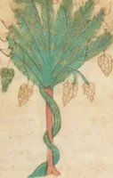 Picture 29 of 51 from Petrus de Ebulo: Liber ad honorem Augusti, lat. (1195), leaf 59