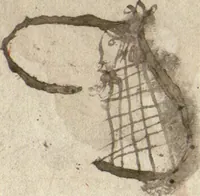Picture 20 of 20 from Wolfram von Eschenbach: Parzival, German (1467), leaf 366