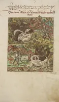 An illustration from Silbereisen: Chronicon Helvetiae, Part I (1576)