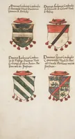 Picture 137 of 418 from Silbereisen: Chronicon Helvetiae, Part I (1576), leaf 492