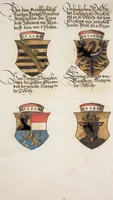 Picture 237 of 418 from Silbereisen: Chronicon Helvetiae, Part I (1576), leaf 594