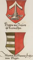 An illustration from Silbereisen: Chronicon Helvetiae, Part I (1576)