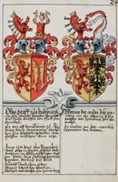 Picture 11 of 40 from Heraldry Guide of Hans Ulrich Fisch (1627), leaf 65