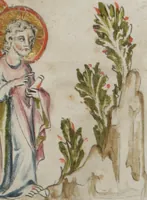 Picture 136 of 223 from Klosterneuburger Evangelienwerk (1340), leaf 474