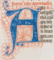 An illustration from Breviarium OFM (pars hiemalis) (1459)