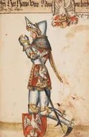 Picture 158 of 166 from Portraits of the Habsburg family and of knights killed in the Battle of Sempach (1386) (1560), leaf 215