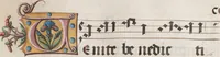 Picture 22 of 41 from Graduale de tempore (1556), leaf 407
