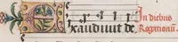 Picture 26 of 41 from Graduale de tempore (1556), leaf 447