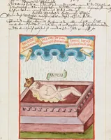 Picture 24 of 27 from Composite manuscript with alchemistic treatises (1593), leaf 249