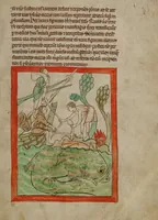 An illustration from Northumberland Bestiary (1250)