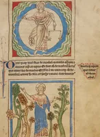 An illustration from Northumberland Bestiary (1250)