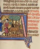 An illustration from Vidal Mayor (1290)