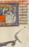 An illustration from Vidal Mayor (1290)