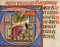 An illustration from Vidal Mayor (1290)