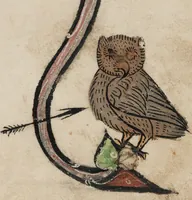 An illustration from Vidal Mayor (1290)