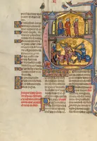 An illustration from Vidal Mayor (1290)