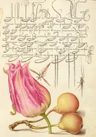 Picture 73 of 112 from Mira calligraphiae monumenta (1561), leaf 109