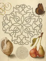 Picture 3 of 112 from Mira calligraphiae monumenta (1561), leaf 12