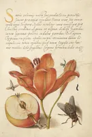 Picture 79 of 112 from Mira calligraphiae monumenta (1561), leaf 121