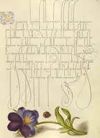 Picture 82 of 112 from Mira calligraphiae monumenta (1561), leaf 125