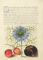 Picture 83 of 112 from Mira calligraphiae monumenta (1561), leaf 128