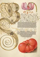 Picture 85 of 112 from Mira calligraphiae monumenta (1561), leaf 131