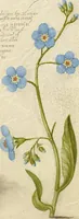 Picture 89 of 112 from Mira calligraphiae monumenta (1561), leaf 140