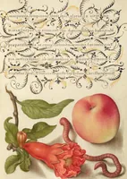 Picture 91 of 112 from Mira calligraphiae monumenta (1561), leaf 145