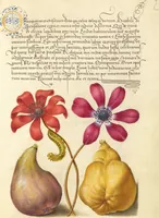 Picture 92 of 112 from Mira calligraphiae monumenta (1561), leaf 146