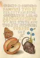 Picture 94 of 112 from Mira calligraphiae monumenta (1561), leaf 148