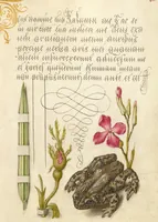 Picture 96 of 112 from Mira calligraphiae monumenta (1561), leaf 150