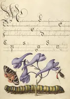 Picture 98 of 112 from Mira calligraphiae monumenta (1561), leaf 153