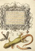 Picture 100 of 112 from Mira calligraphiae monumenta (1561), leaf 155