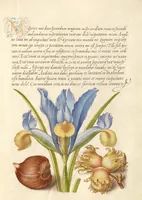 Picture 102 of 112 from Mira calligraphiae monumenta (1561), leaf 157
