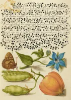 Picture 103 of 112 from Mira calligraphiae monumenta (1561), leaf 158