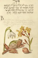Picture 105 of 112 from Mira calligraphiae monumenta (1561), leaf 161