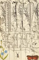 Picture 12 of 112 from Mira calligraphiae monumenta (1561), leaf 30