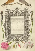 An illustration from Mira calligraphiae monumenta (1561)