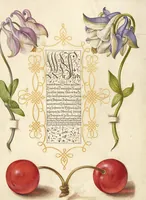 Picture 20 of 112 from Mira calligraphiae monumenta (1561), leaf 44