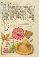 Picture 23 of 112 from Mira calligraphiae monumenta (1561), leaf 49