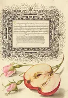 Picture 24 of 112 from Mira calligraphiae monumenta (1561), leaf 51