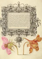 Picture 25 of 112 from Mira calligraphiae monumenta (1561), leaf 52
