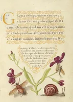 Picture 29 of 112 from Mira calligraphiae monumenta (1561), leaf 57