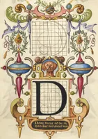 Picture 34 of 112 from Mira calligraphiae monumenta (1561), leaf 64