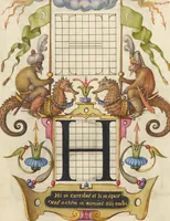 Picture 38 of 112 from Mira calligraphiae monumenta (1561), leaf 68